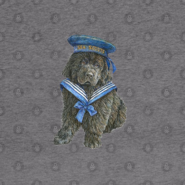 Newfoundland Puppy in blue Sea Scout hat by Prairie Dog Print